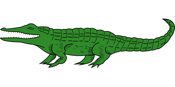 Green Alligator Illustration PNG Image