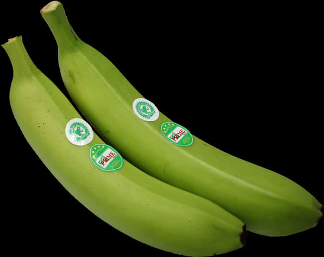 Green Bananas Black Background PNG Image