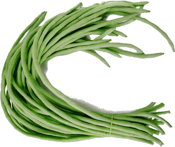 Green Bean Bunch PNG Image