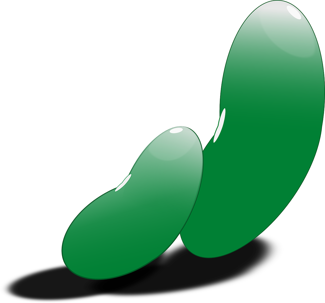 Green Beans Illustration PNG Image