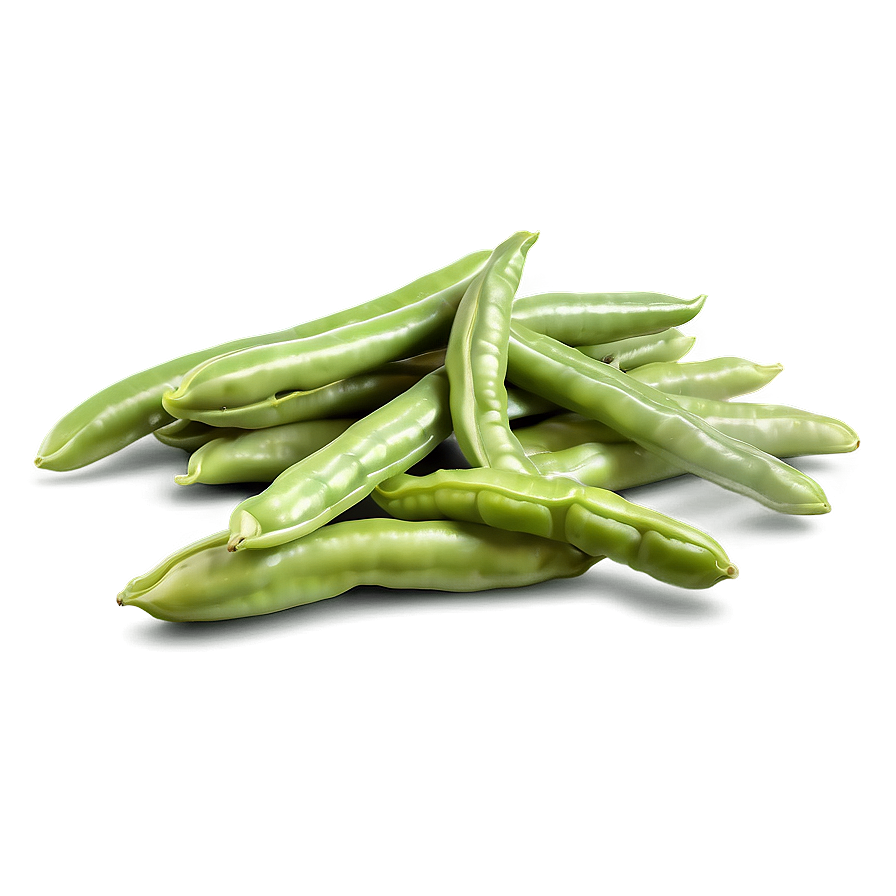 Green Beans Sketch Png 06122024 PNG Image