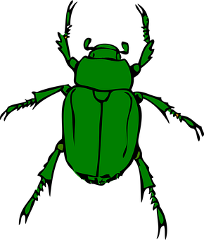 Green Beetle Illustration PNG Image