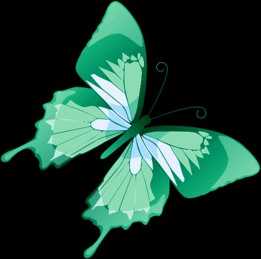 Green Butterfly Illustration PNG Image