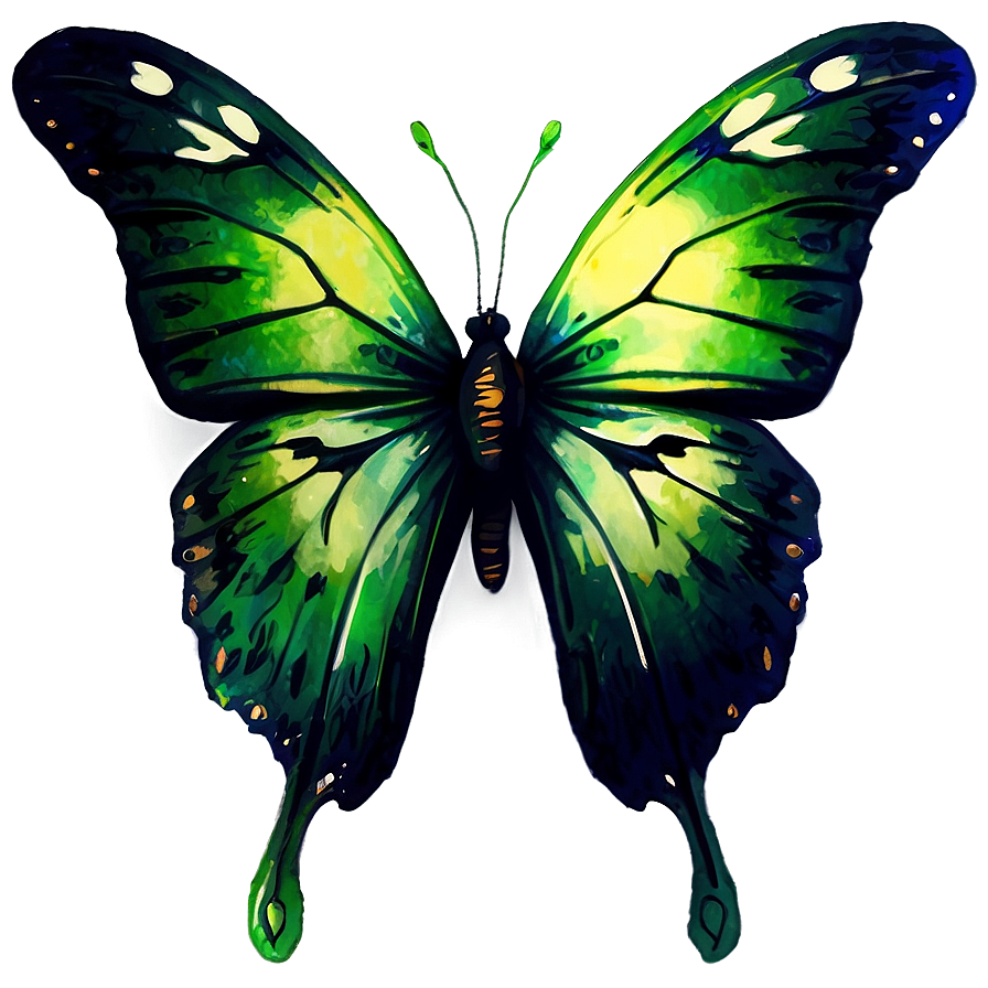 Green Butterfly In Watercolor Splash Png Tqt61 PNG Image