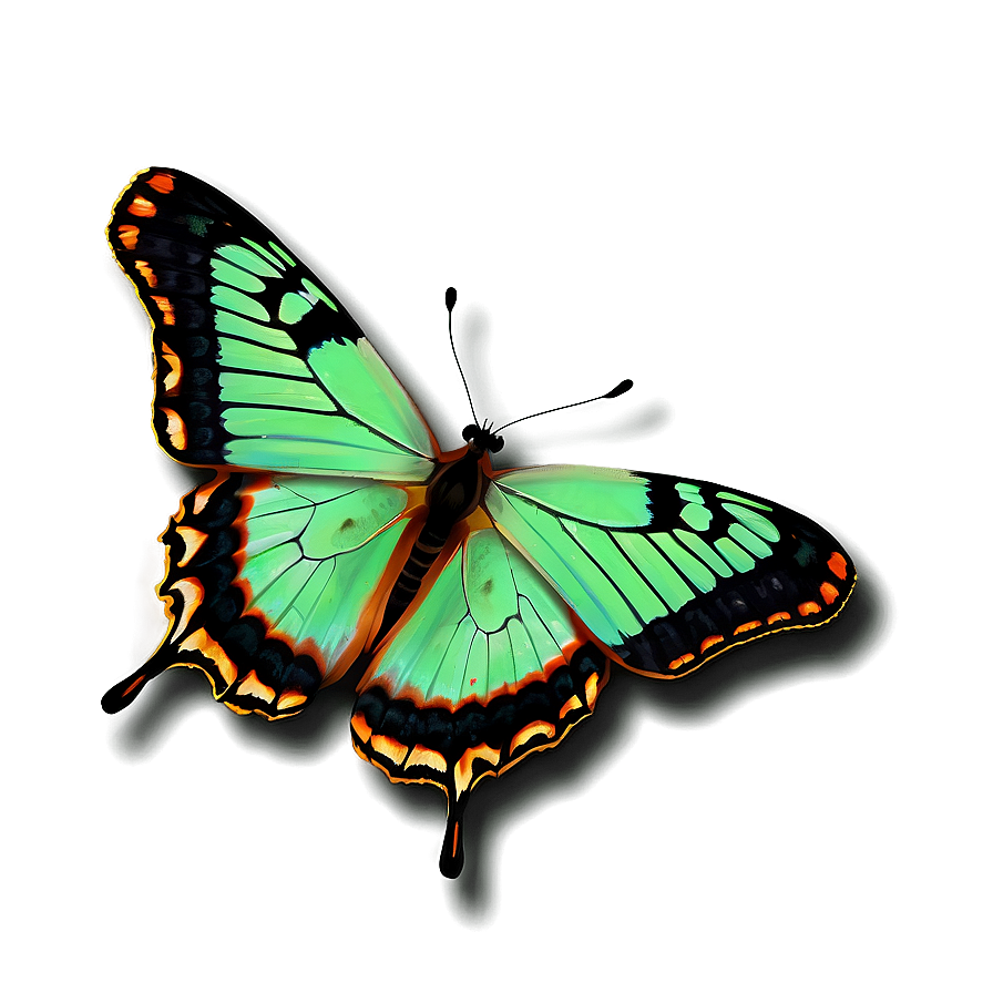 Green Butterfly On White Background Png Fjb PNG Image