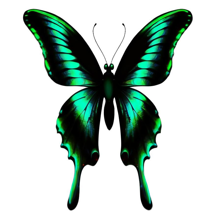 Green Butterfly On White Background Png Sip2 PNG Image