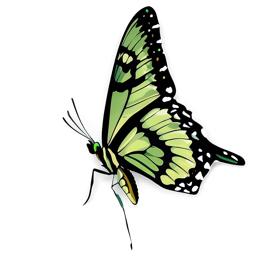 Green Butterfly Png Wpe PNG Image