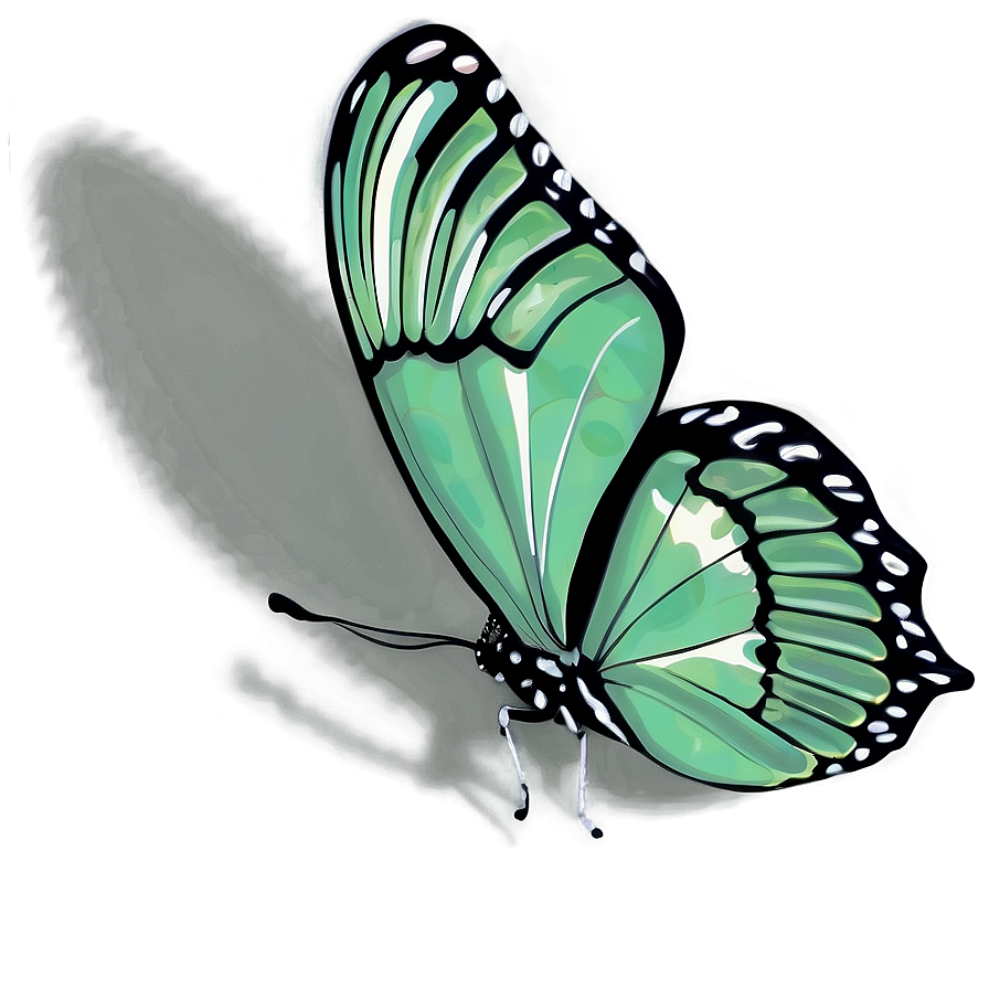 Green Butterfly With Shadow Png 06202024 PNG Image