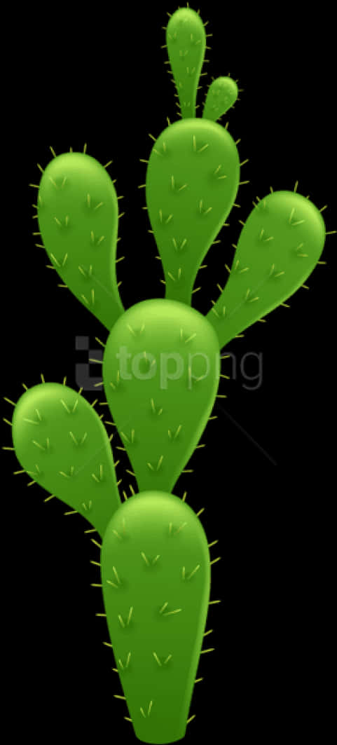 Green Cactus Black Background PNG Image