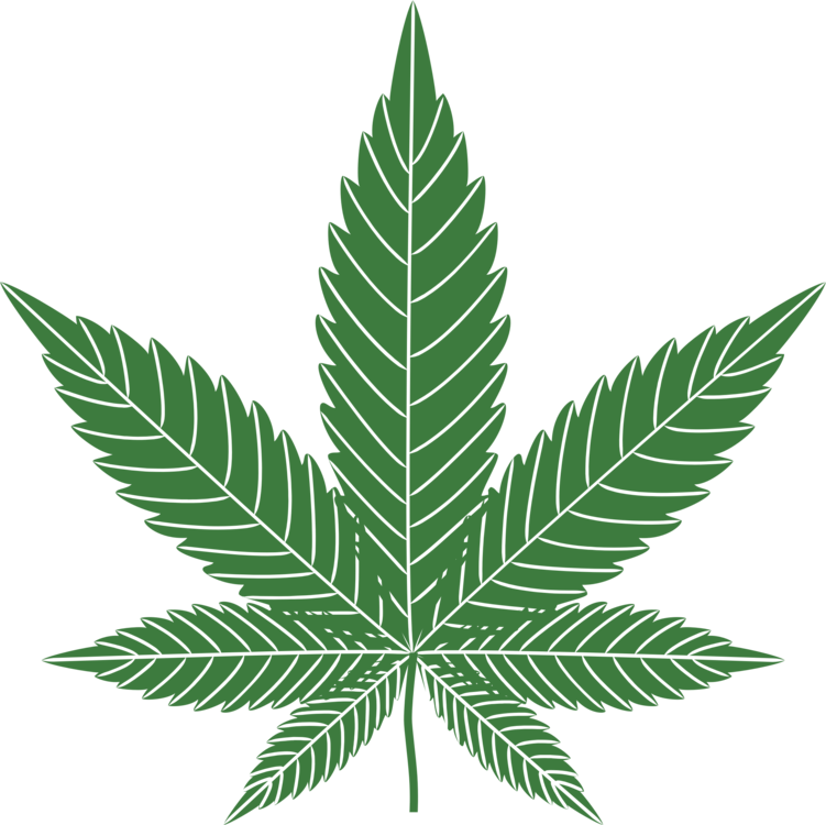 Green Cannabis Leaf Graphic PNG Image