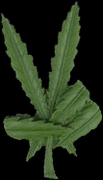 Green Cannabis Leaf Isolated PNG Image