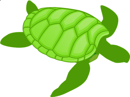 Green Cartoon Turtle Illustration PNG Image