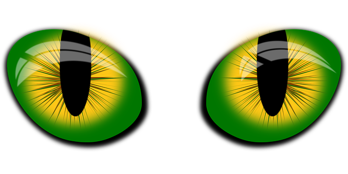 Green Cat Eyes Illustration PNG Image