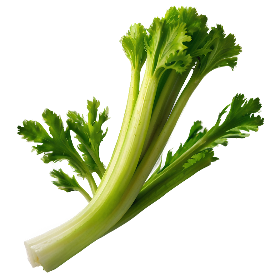 Green Celery Png 06252024 PNG Image