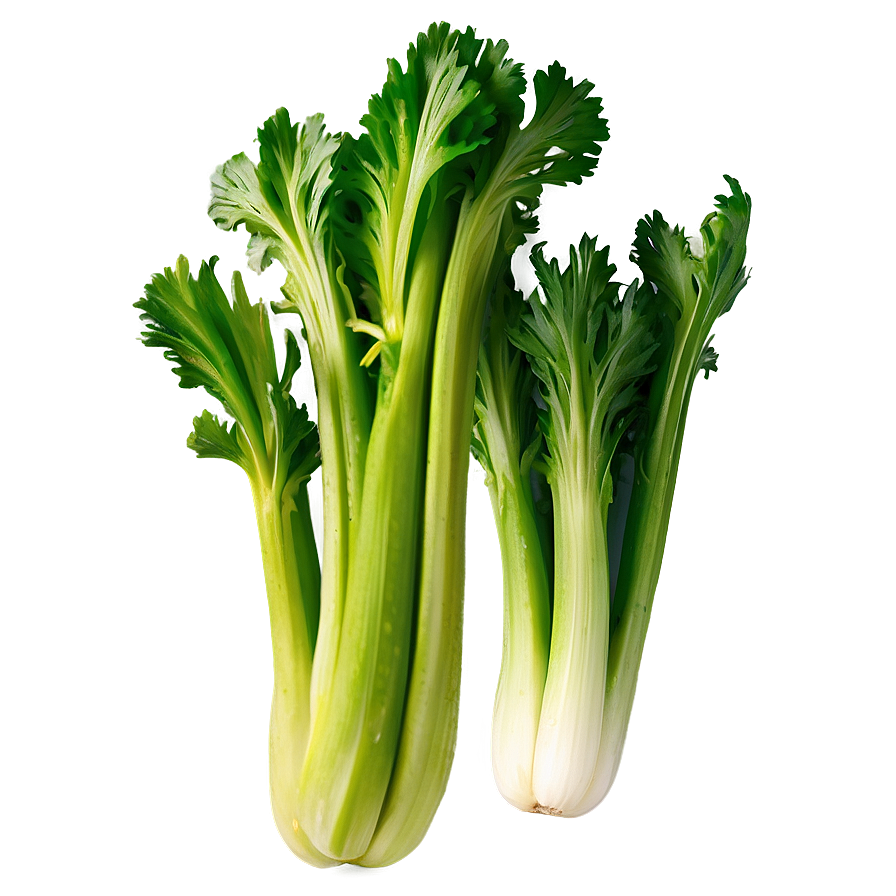 Green Celery Png Utw PNG Image