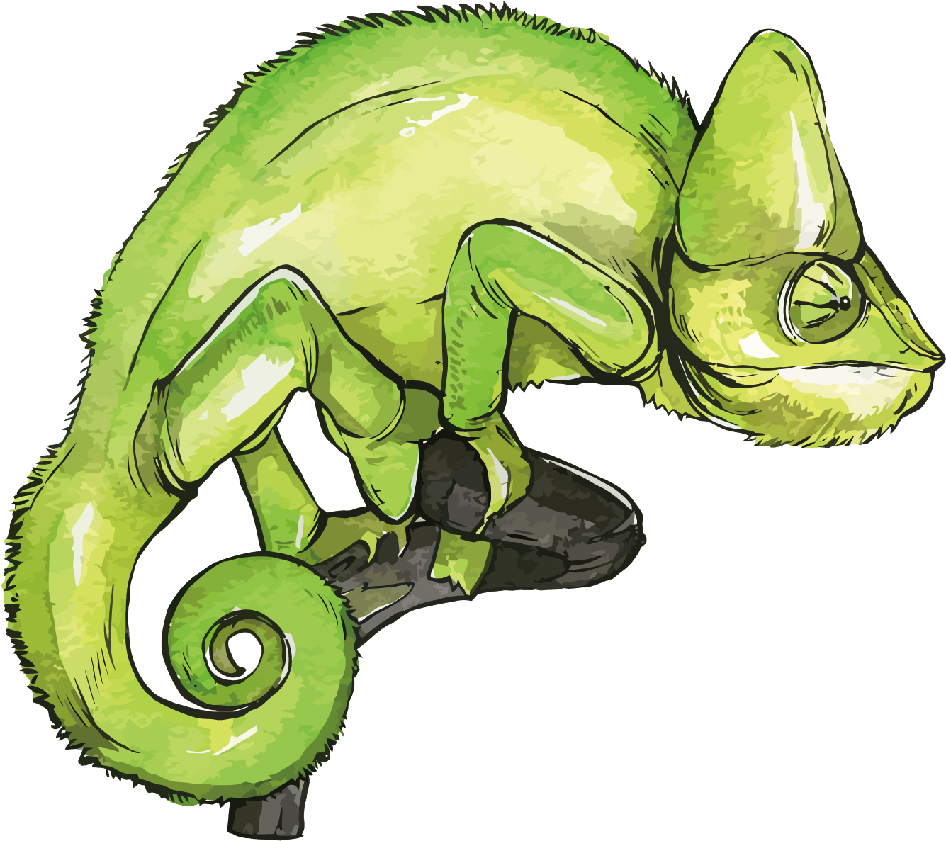 Green Chameleon Illustration PNG Image