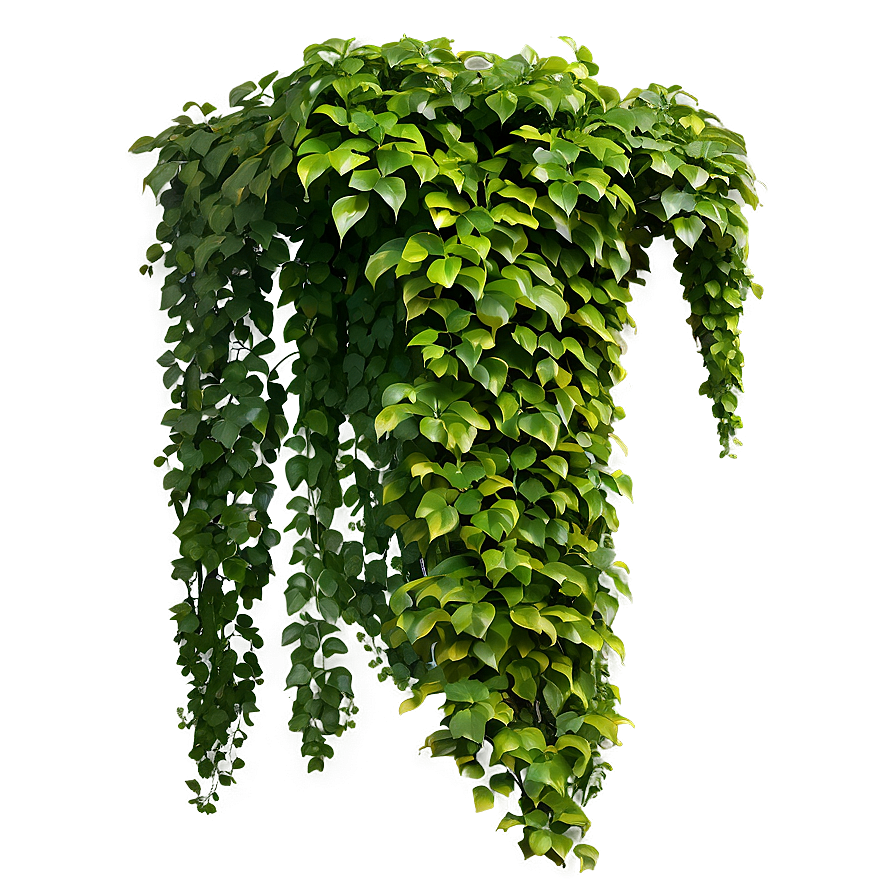 Green Creeper Texture Png Nrv68 PNG Image