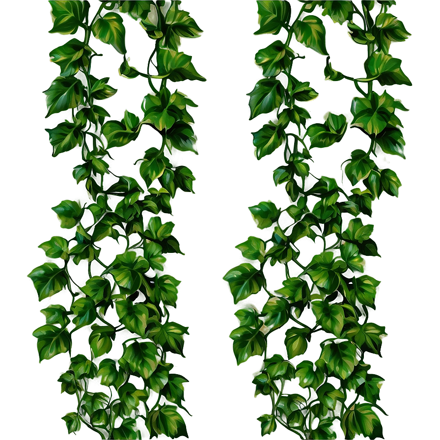 Green Creeper Texture Png Pjm37 PNG Image