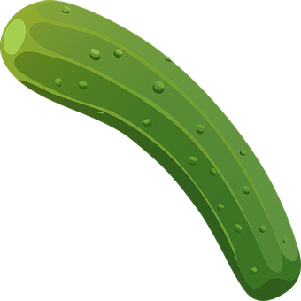 Green Cucumber Illustration PNG Image