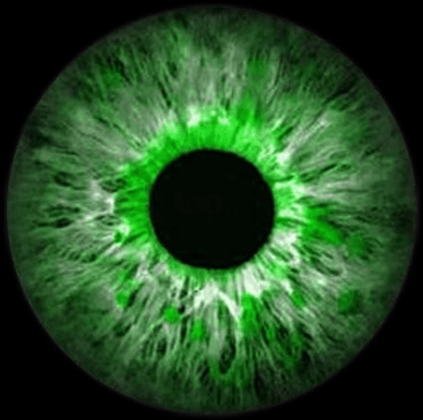 Green Eye Closeup Detail PNG Image