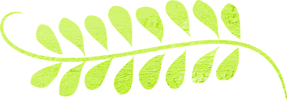 Green Fern Leaf Graphic PNG Image