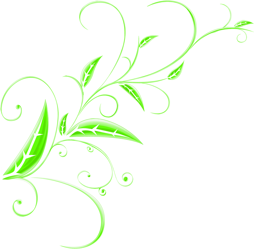 Green Floral Design Element.png PNG Image