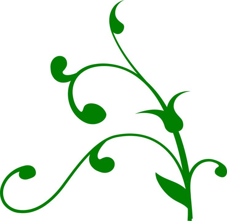 Green Floral Graphic Design PNG Image