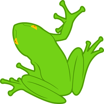 Green Frog Illustration PNG Image