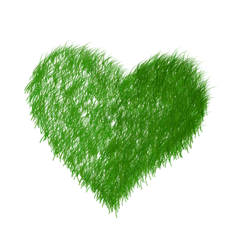 Green Furry Heart Graphic PNG Image