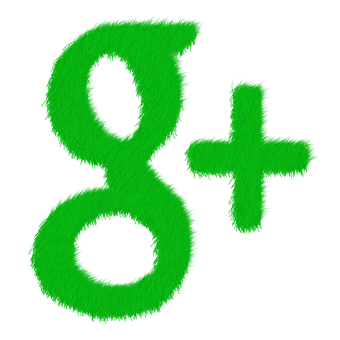 Green Fuzzy Google Plus Logo PNG Image