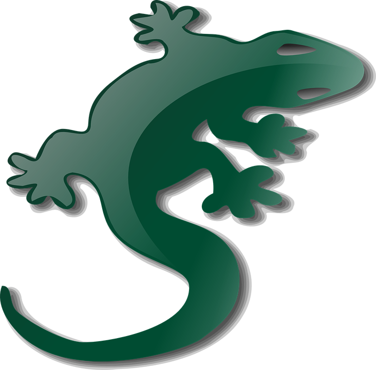 Green Gecko Graphic PNG Image