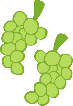 Green_ Grape_ Clusters_ Vector_ Illustration PNG Image