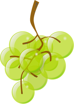 Green Grapes Cluster Illustration PNG Image