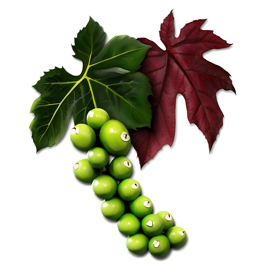 Green Grapes With Leaves PNG Image