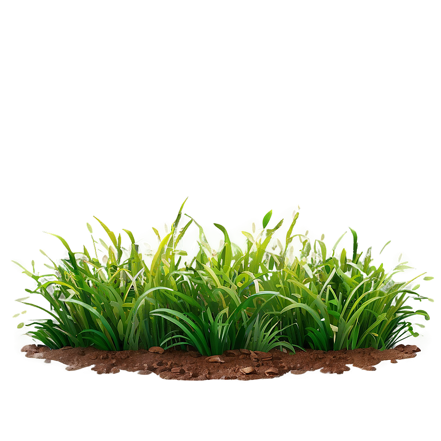 Green Grass A PNG Image