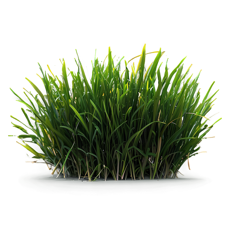 Green Grass And Sunshine Png 62 PNG Image