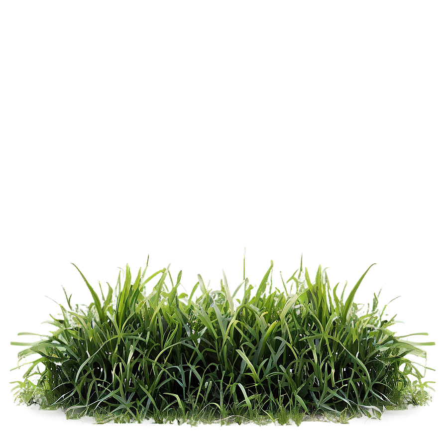 Green Grass And Sunshine Png Gso PNG Image