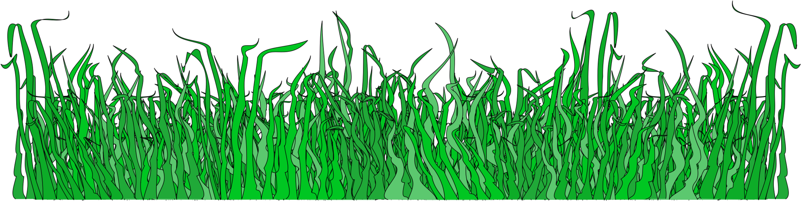 Green Grass Border Graphic PNG Image