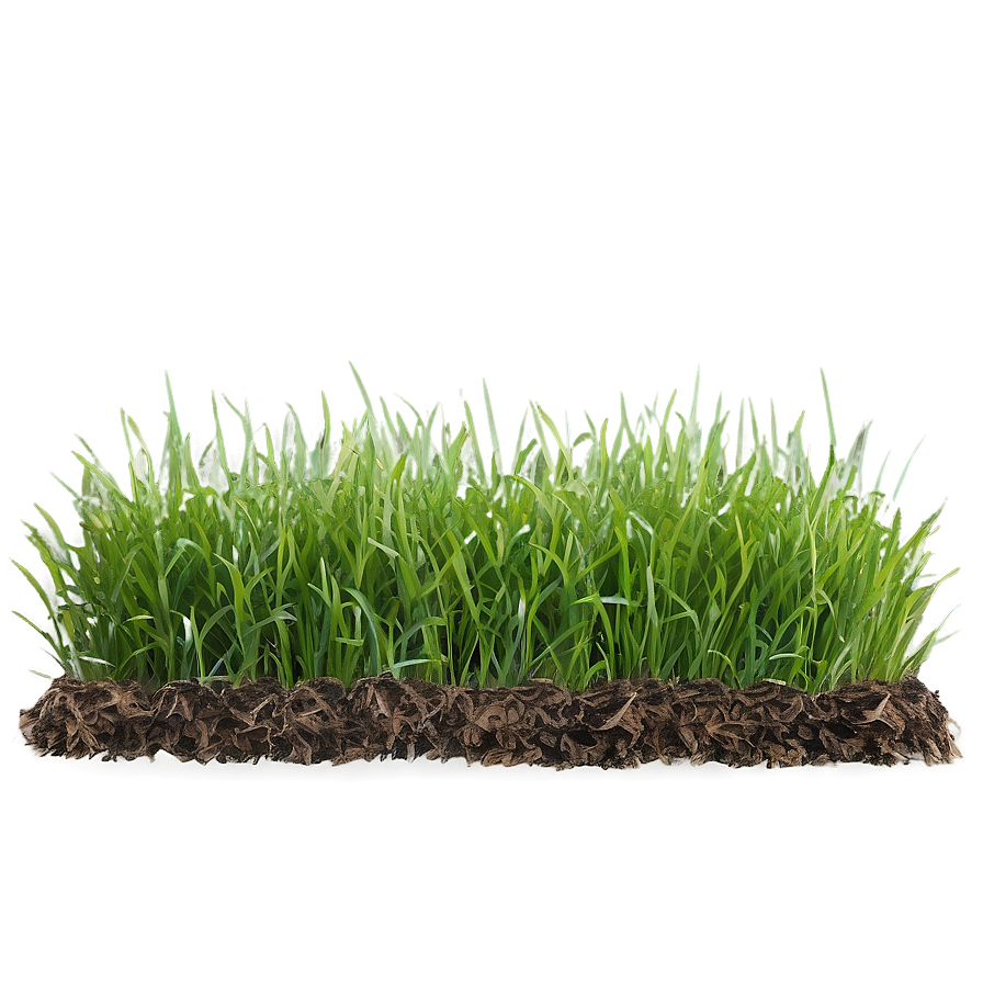 Green Grass For Landscaping Png Bxo PNG Image