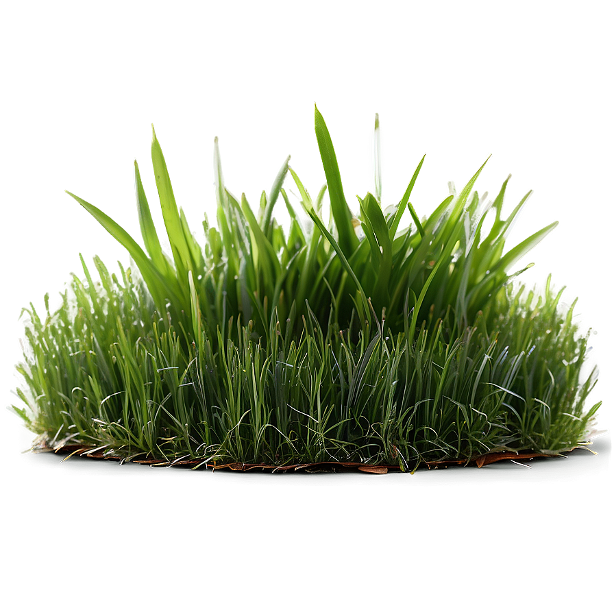 Green Grass For Sports Field Png 06262024 PNG Image