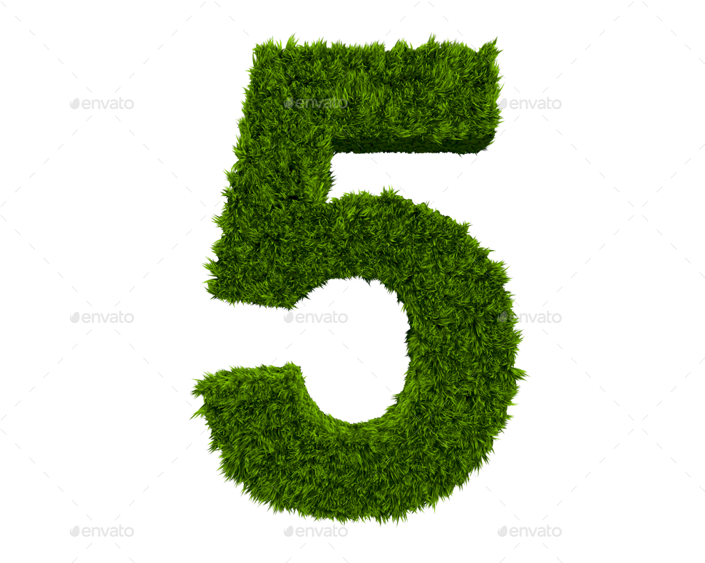 Green Grass Number Five3 D Render PNG Image