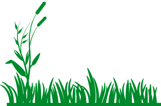 Green Grass Silhouette Vector PNG Image