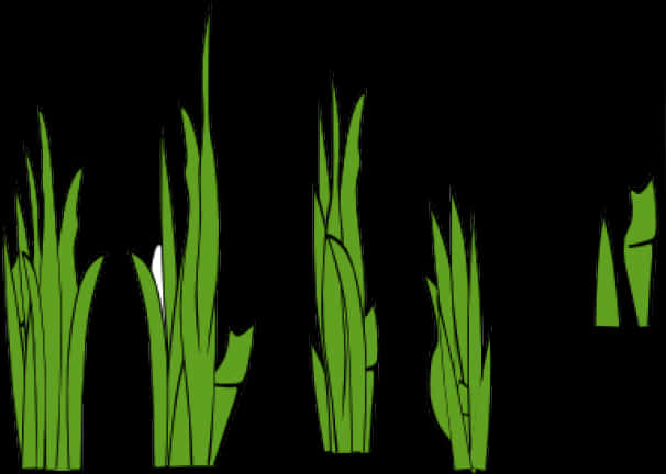 Green Grass Vector Illustration PNG Image