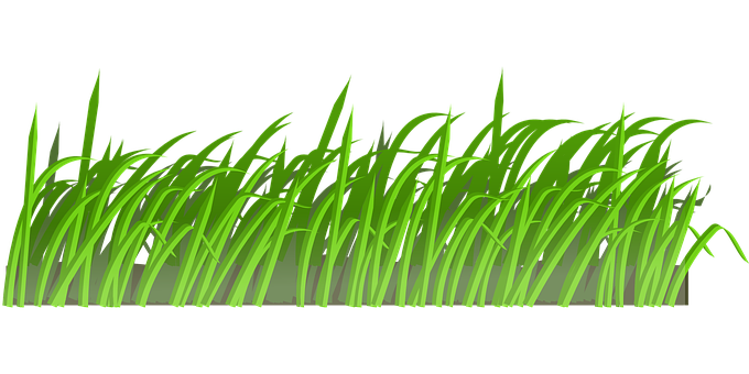 Green Grass Vector Illustration PNG Image