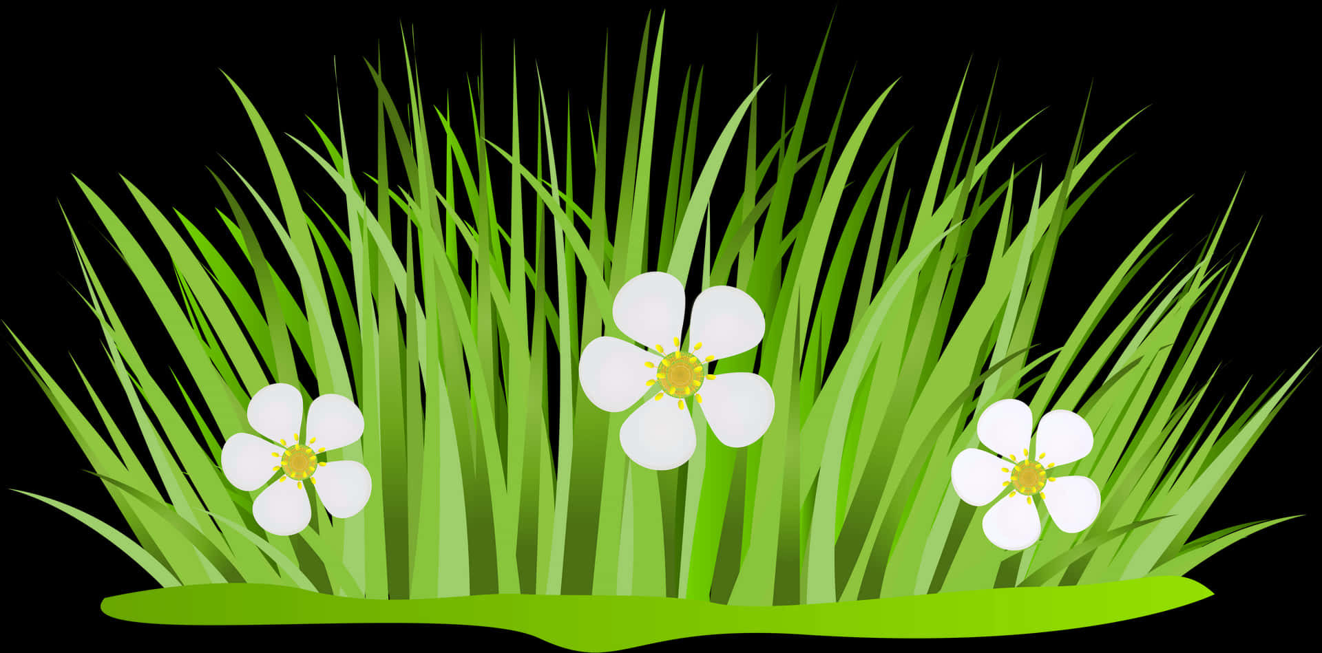 Green Grass White Flowers Vector PNG Image