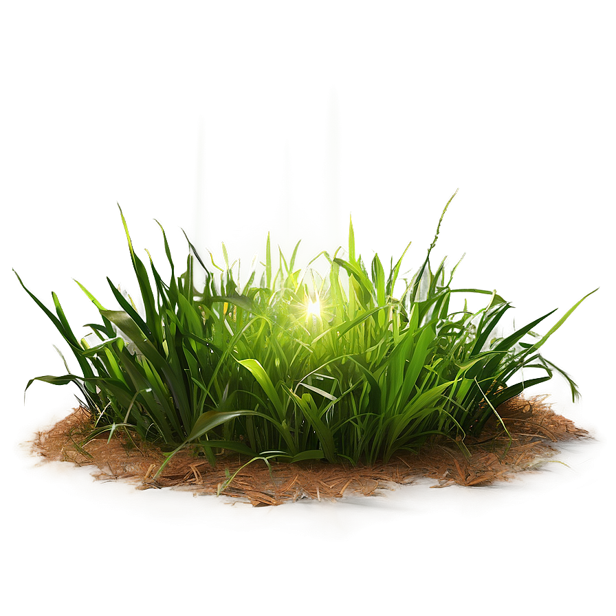 Green Grass With Sun Rays Png Rvm PNG Image