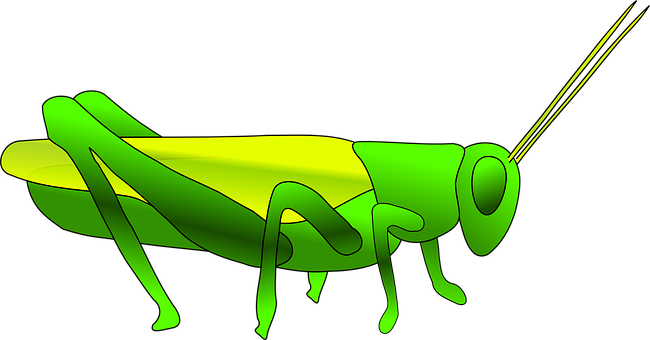 Green Grasshopper Illustration PNG Image