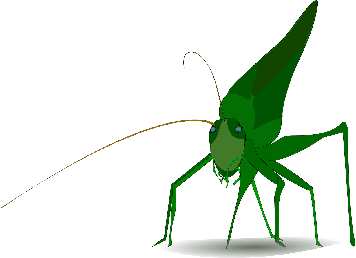 Green Grasshopper Illustration PNG Image