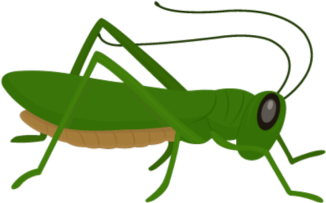 Green Grasshopper Illustration PNG Image