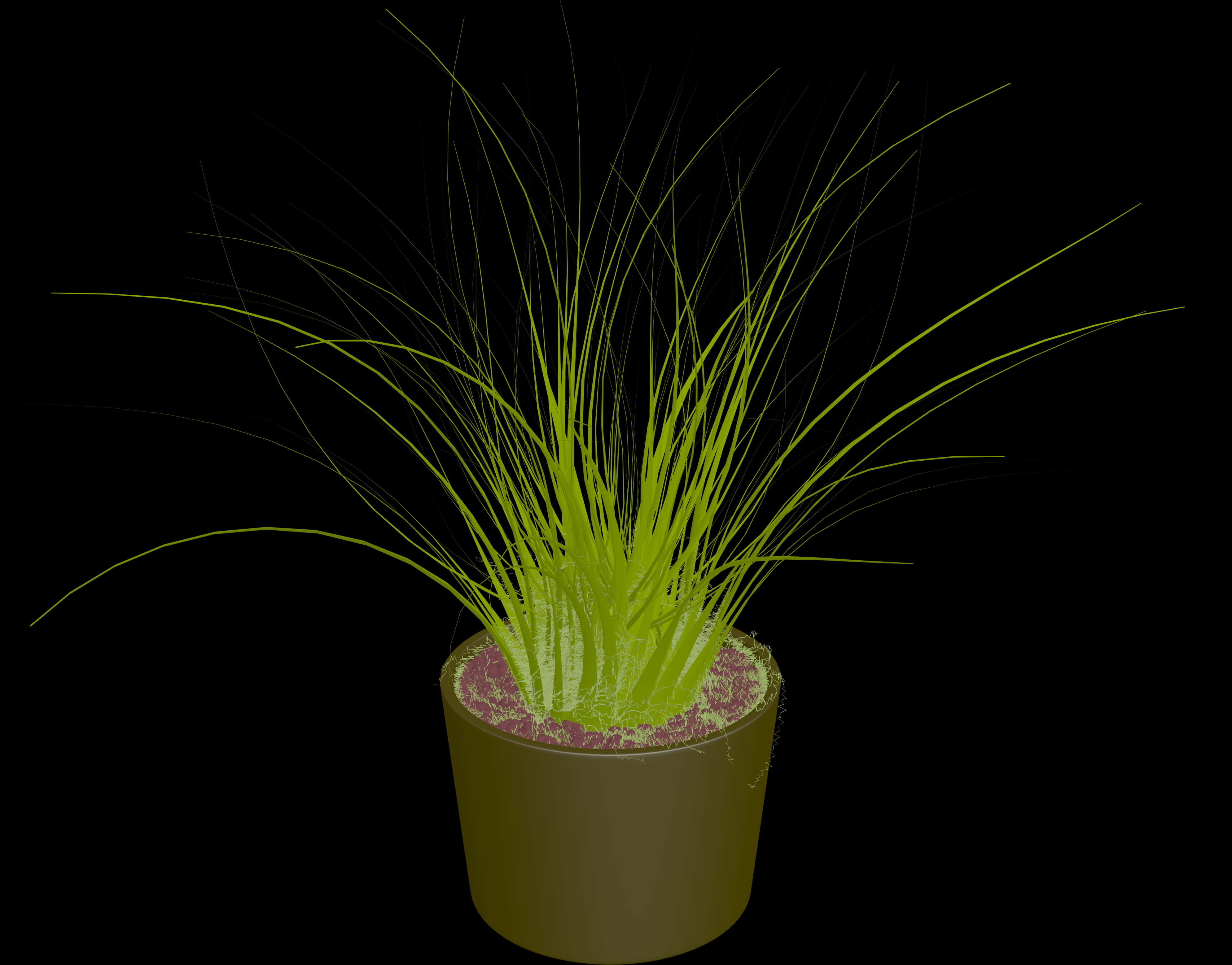 Green Grassin Flower Poton Black Background PNG Image